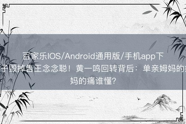 百家乐IOS/Android通用版/手机app下载 为儿子毁掉告王念念聪!黄一鸣回转背后:单亲姆妈的痛谁懂?