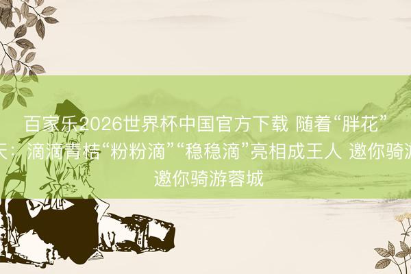 百家乐2026世界杯中国官方下载 随着“胖花”追春天：滴滴青桔“粉粉滴”“稳稳滴”亮相成王人 邀你骑游蓉城