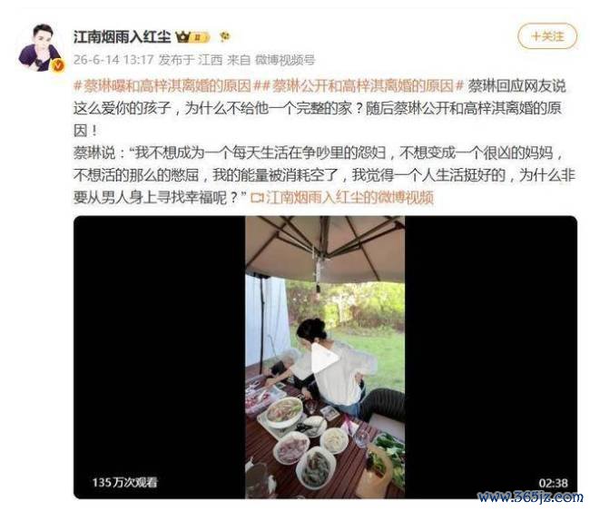 蔡琳首度公开与高梓淇六年跨国婚配废除的原因 争吵与压抑耗尽了我